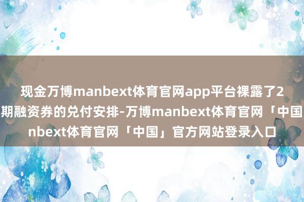 现金万博manbext体育官网app平台裸露了2024年度第五期超短期融资券的兑付安排-万博manbext体育官网「中国」官方网站登录入口